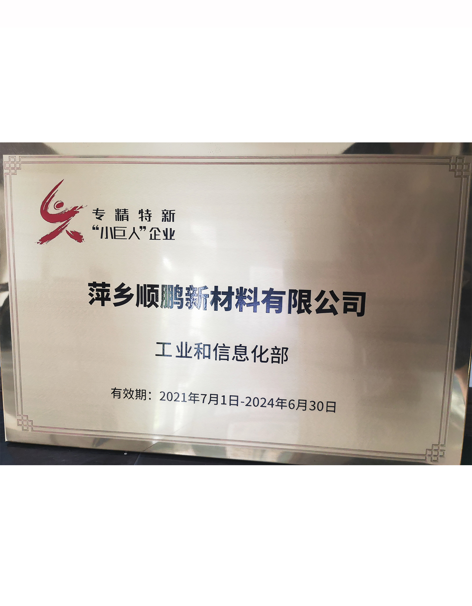 國家專精特新小巨人企業